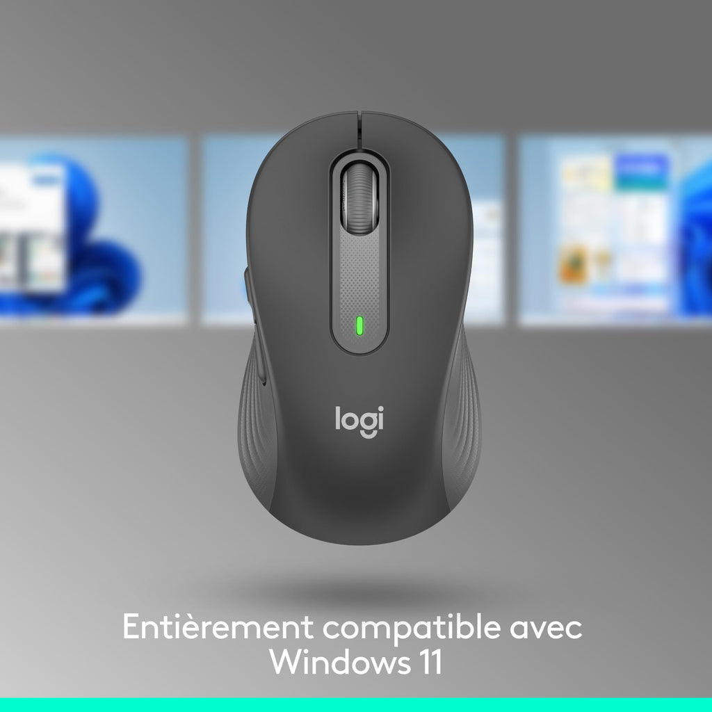Logitech Souris