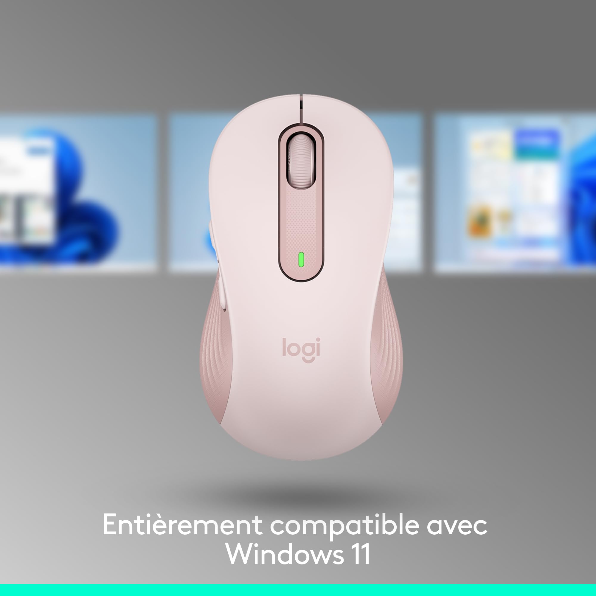 Logitech Souris