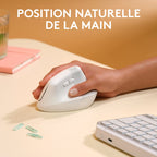 Logitech Souris