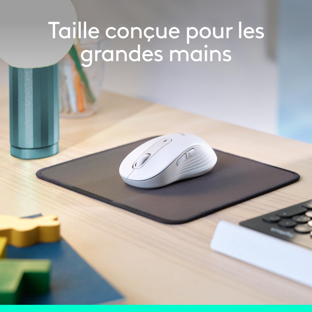 Logitech Souris