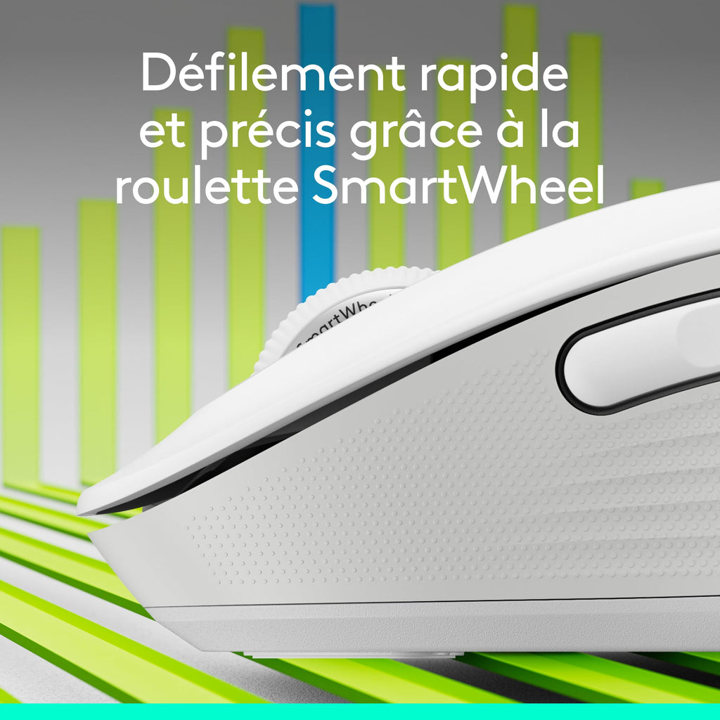 Logitech Souris