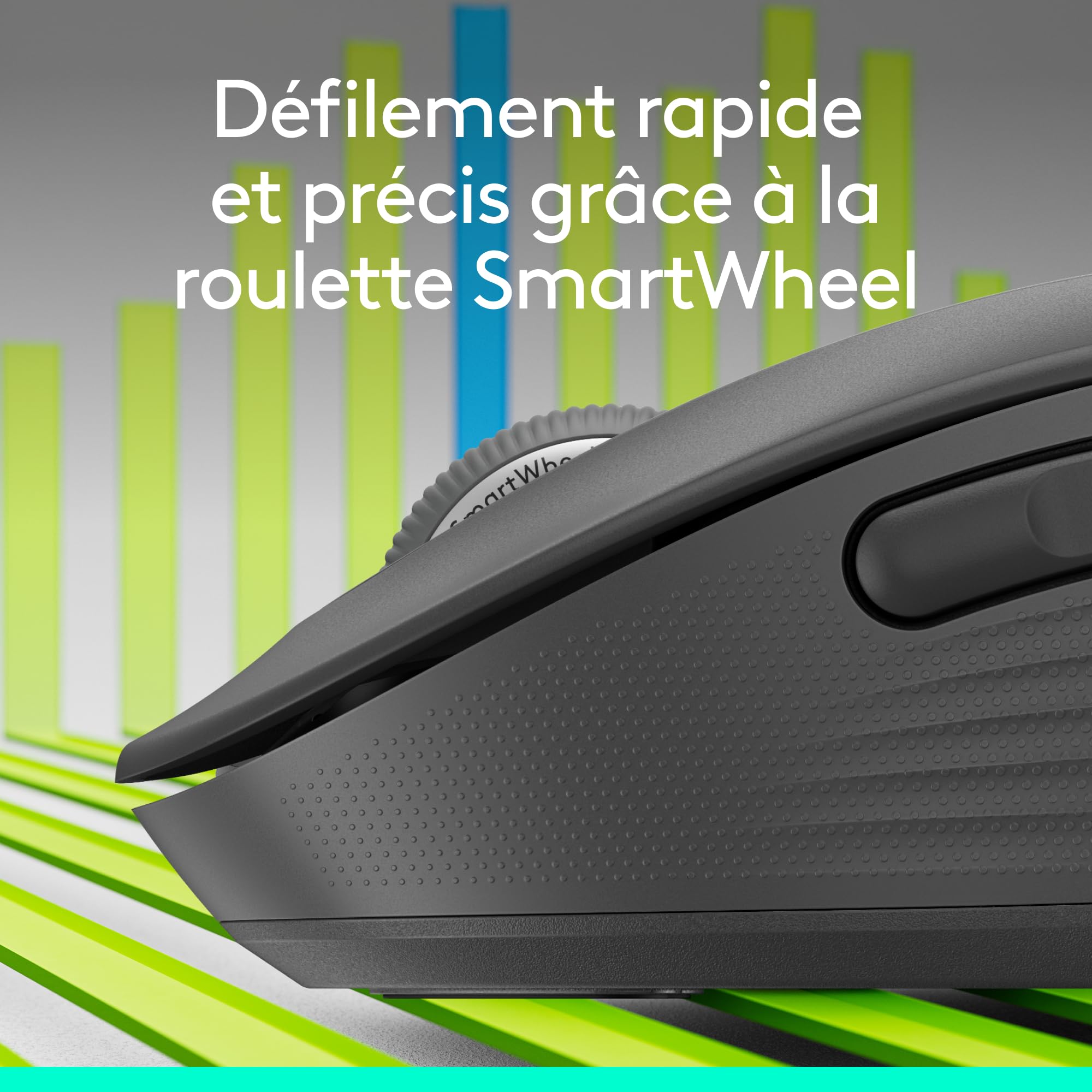 Logitech Souris