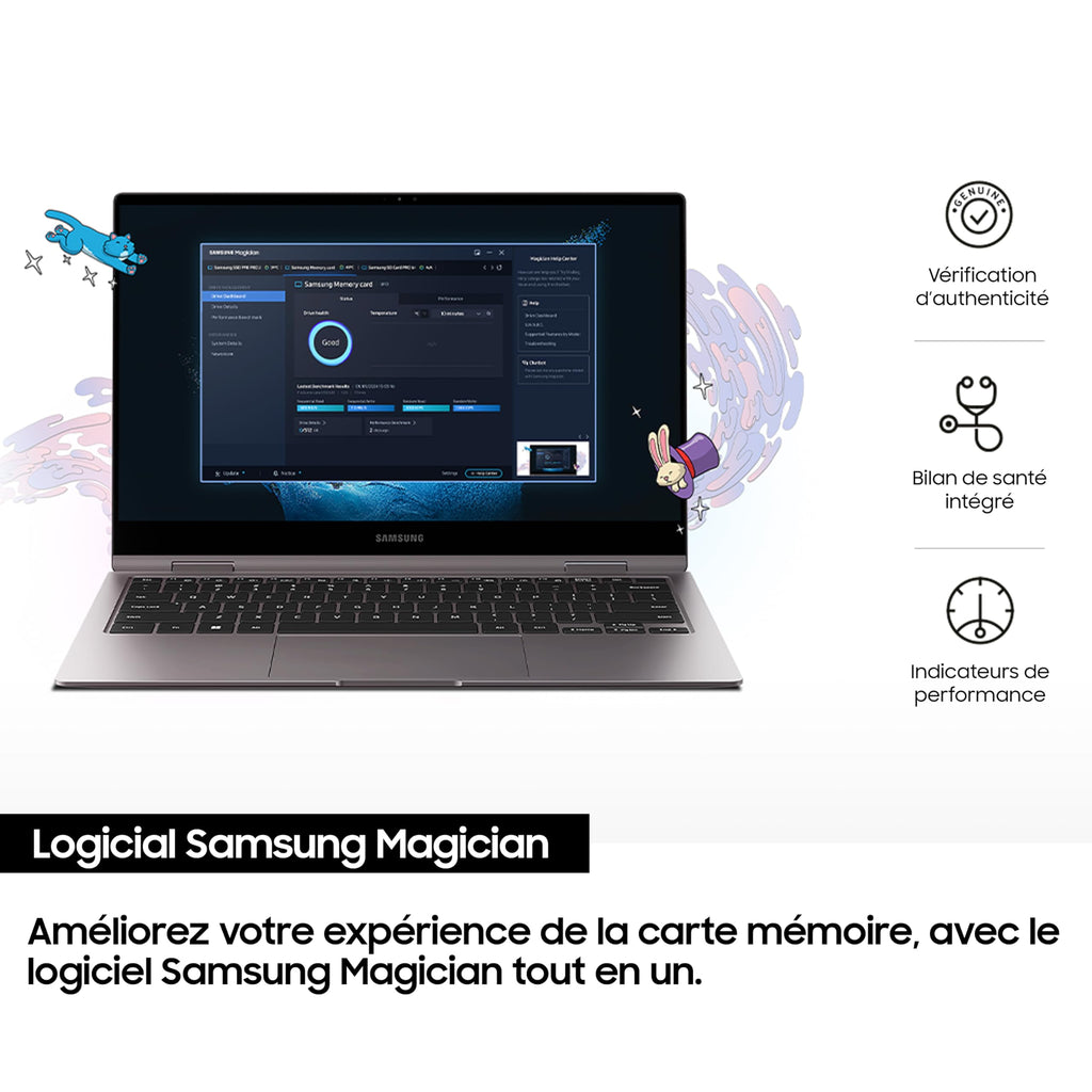 Samsung Mémoire