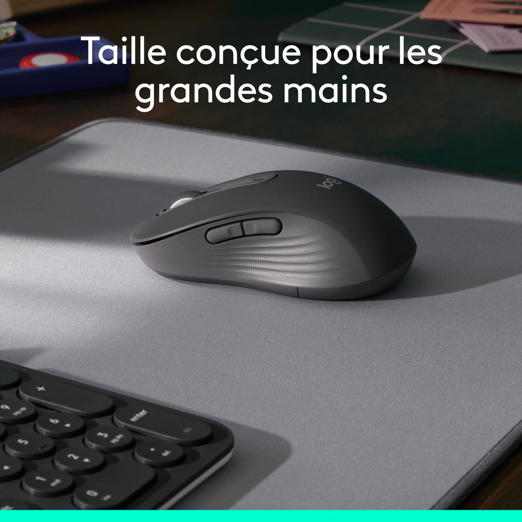 Logitech Souris
