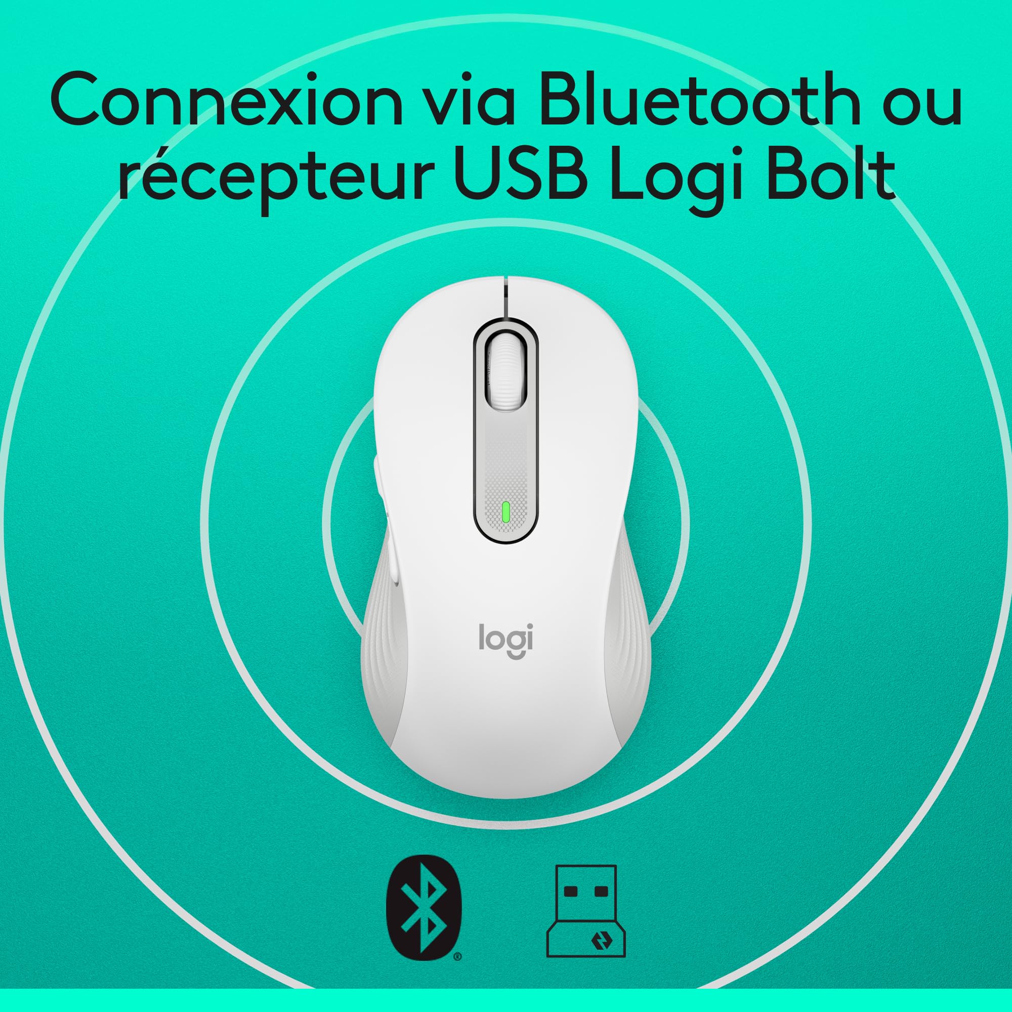 Logitech Souris
